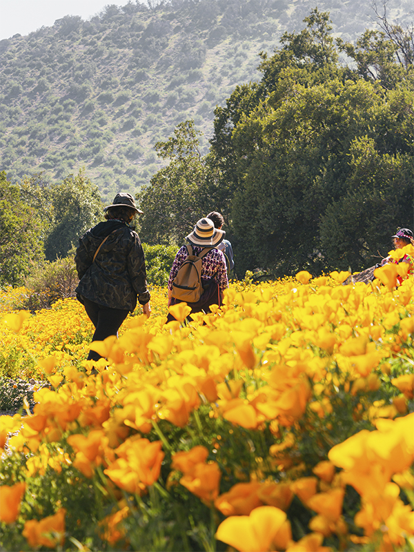 destino-penalolen-galeria-2