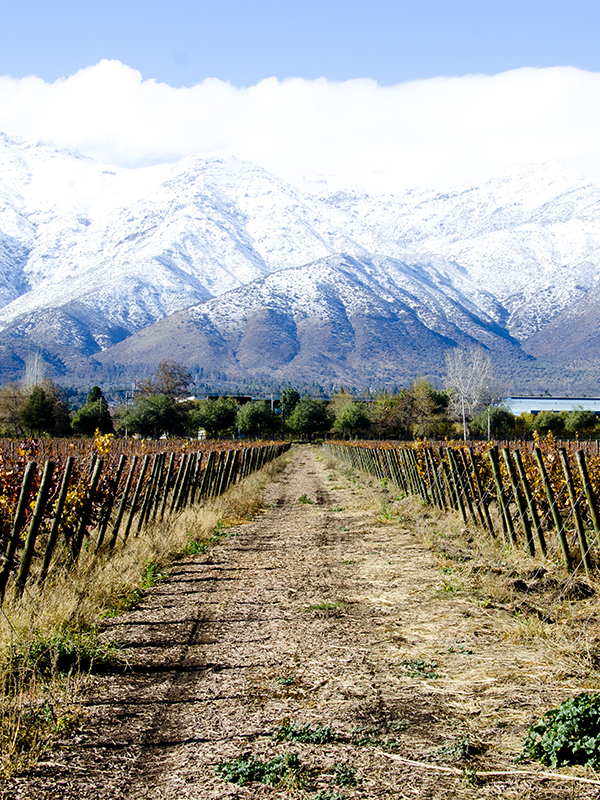 destino-penalolen-galeria-6