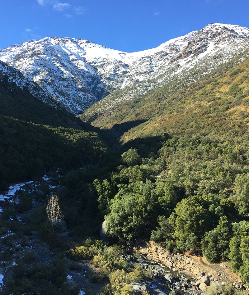Senderistas recorriendo un sendero en los cerros de Peñalolén, con la Cordillera de los Andes al fondo.