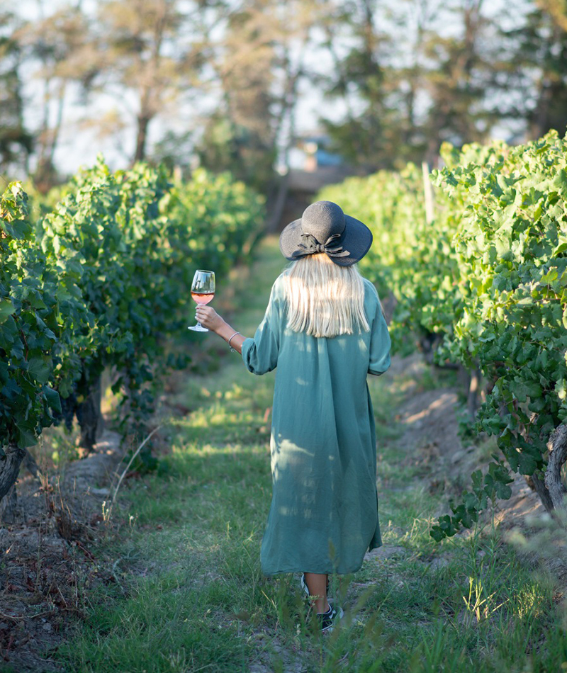 Viñedos y copa de vino en una viña boutique de Peñalolén, sector oriente de Santiago